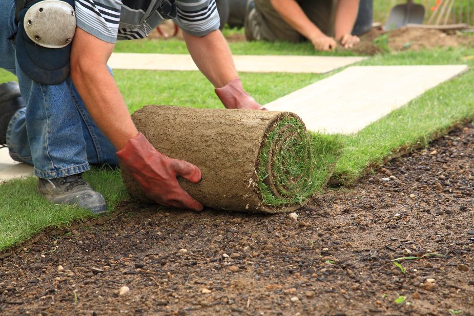 Why A Landscaping Franchise May Cut Invenstment Potential.jpg